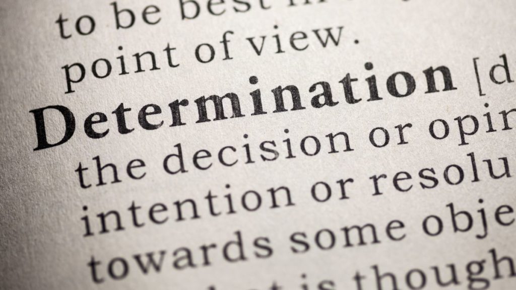 Voiceover Success Takes Determination